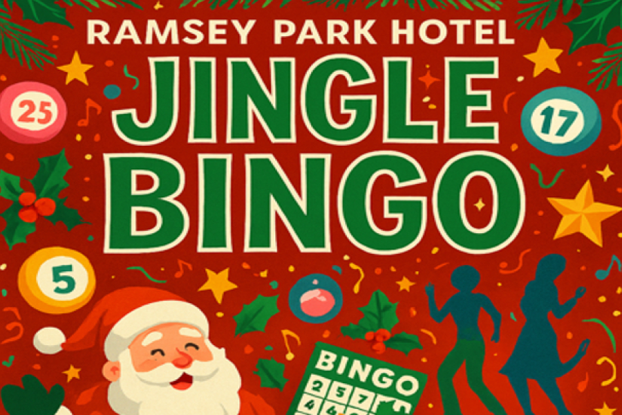 Christmas Boogie & Bingo Party Night – Saturday 6th December 2025