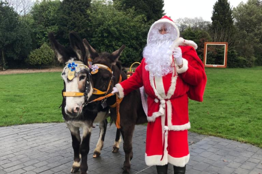 Santa’s Sunday Lunch with Festive Donkey Ride